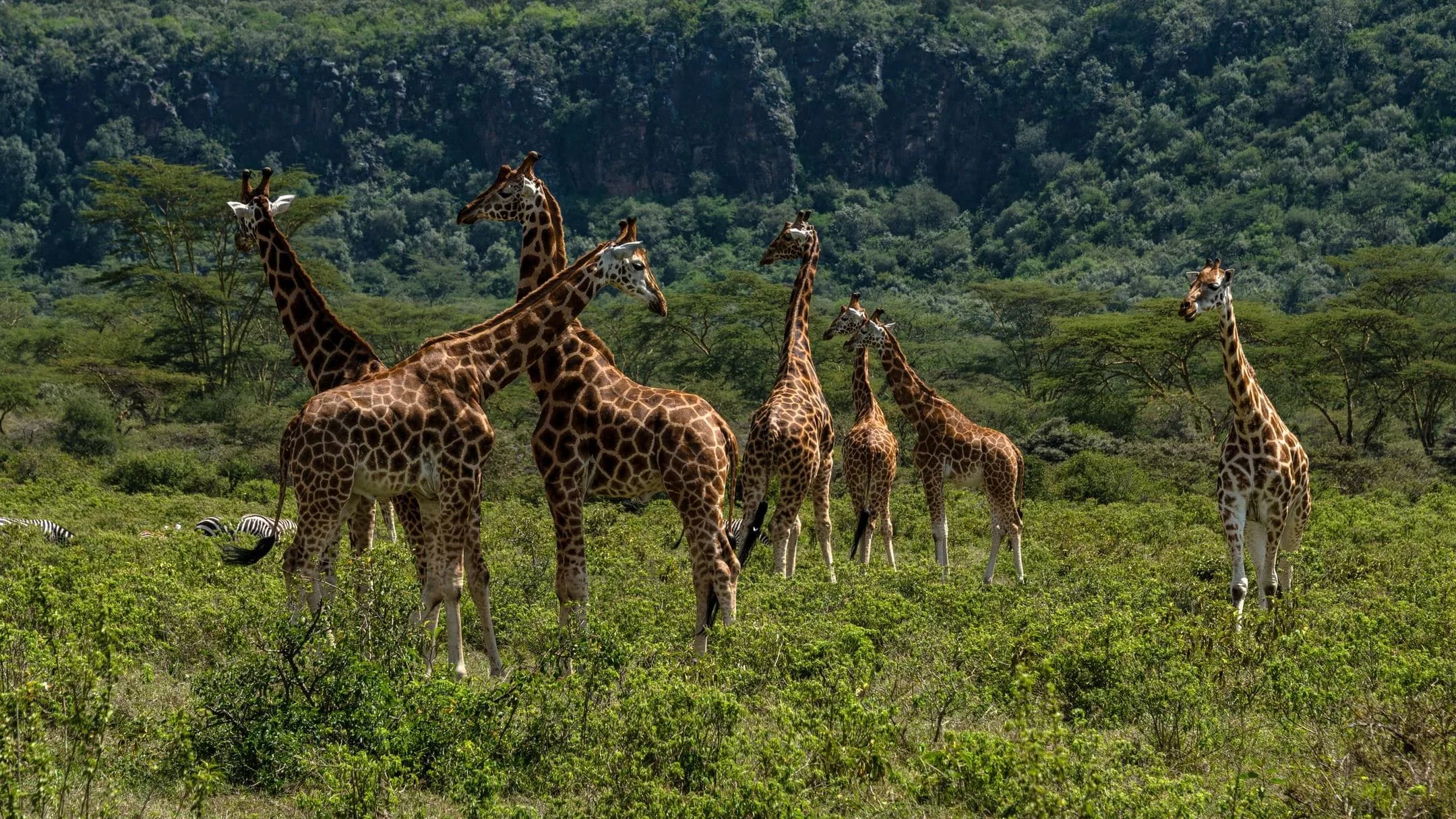 Leboo Safaris - Experience Wild Adventure Safaris