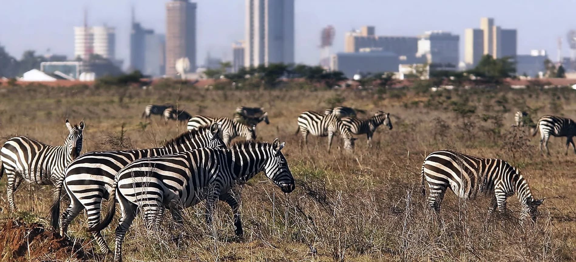 Leboo Safaris - Experience Wild Adventure Safaris