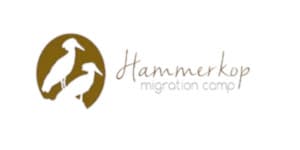 Leboo Safaris s'associe au Hammerkop Migration Camp pour des expériences de safari immersives au cœur de la migration du Serengeti.