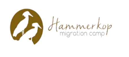Hammerkop Migration Camp